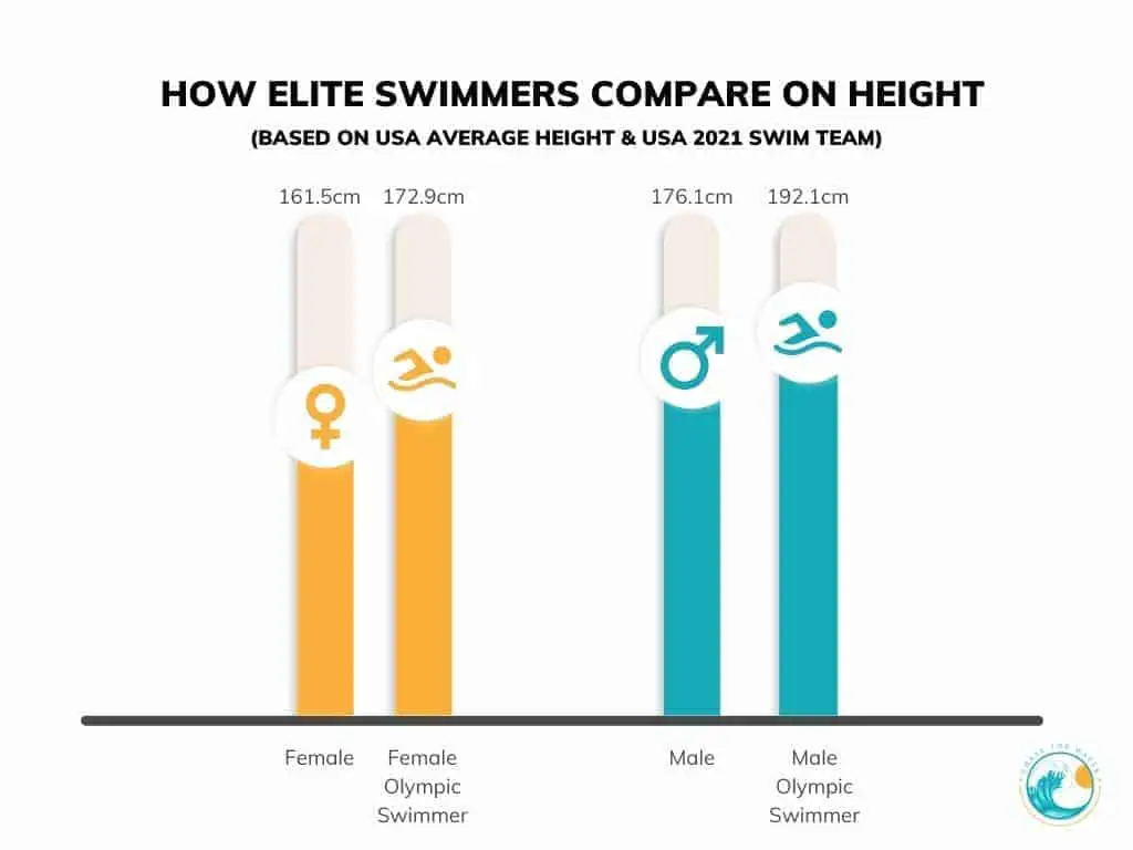 bar graph showing that elite swimmers are taller than average