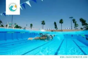 swimmer in pool with palm trees behind